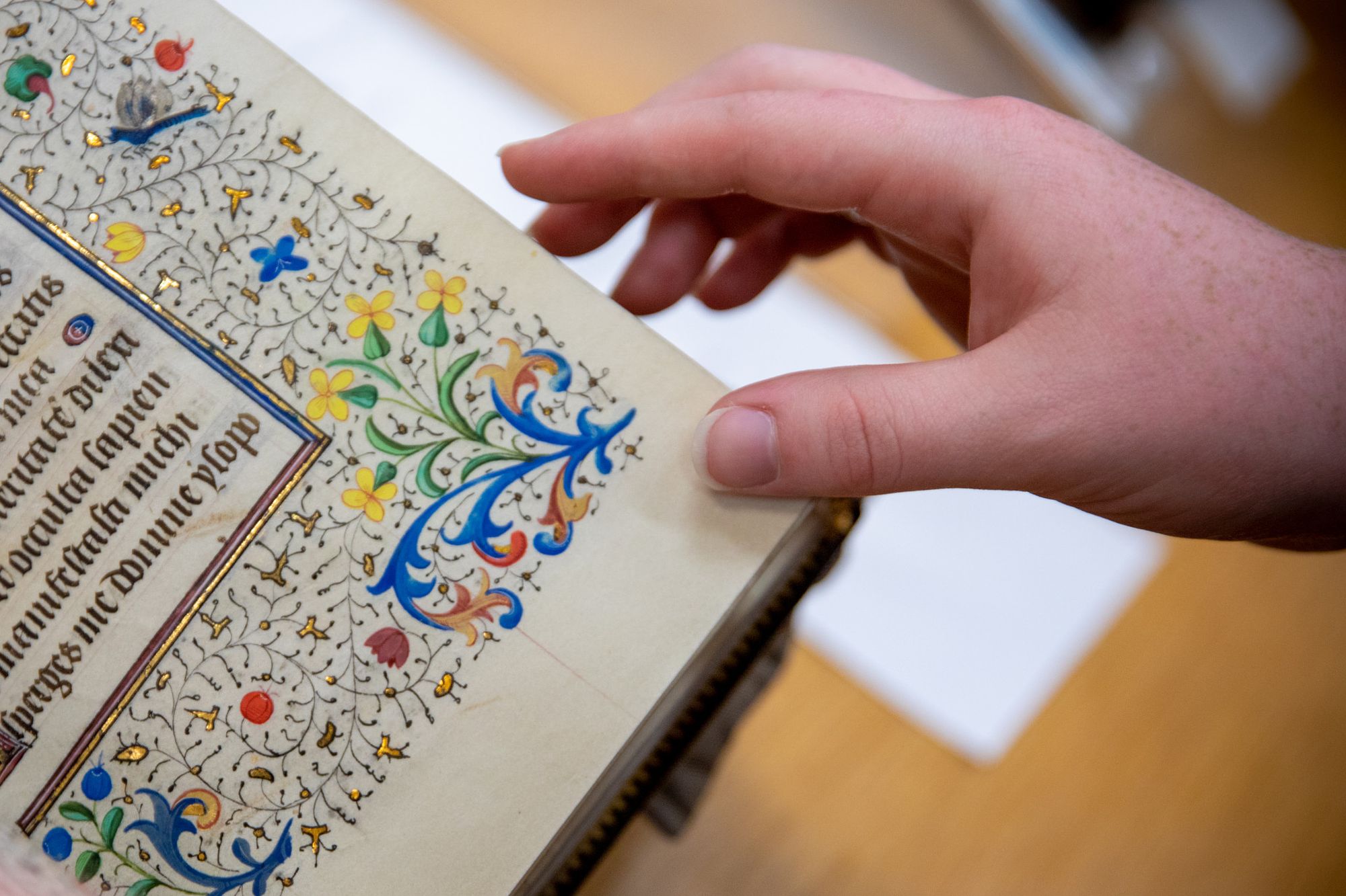 close up of an old French book with intricate illuminations around the text. Someone's hand is holding the book by the bottom right corner